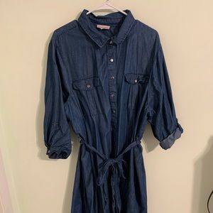 Molly Isadora Jean Dress 22W